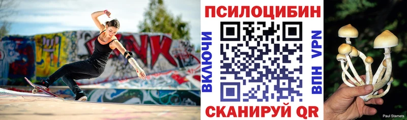 Псилоцибиновые грибы мицелий  Никольск 
